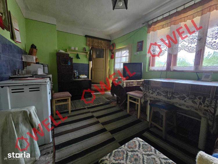 Casă cu 3 camere cu Teren 5755 Mp în Vama Buzăului