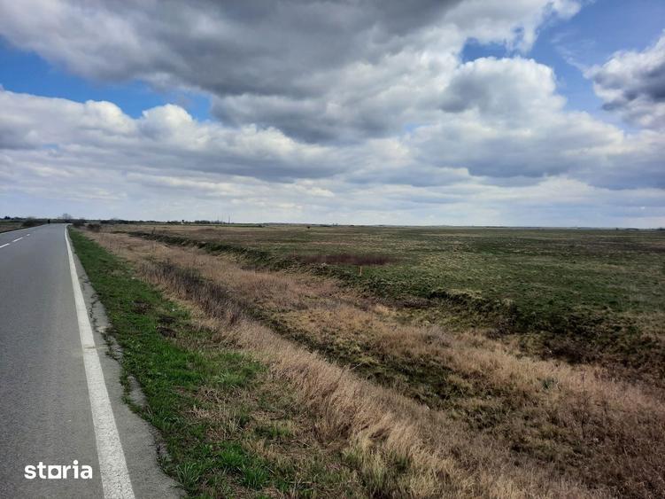 Teren de 13000 mp, în Sânmihaiu Român