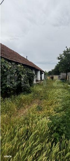 Teren de 2200 mp, în Odoreu