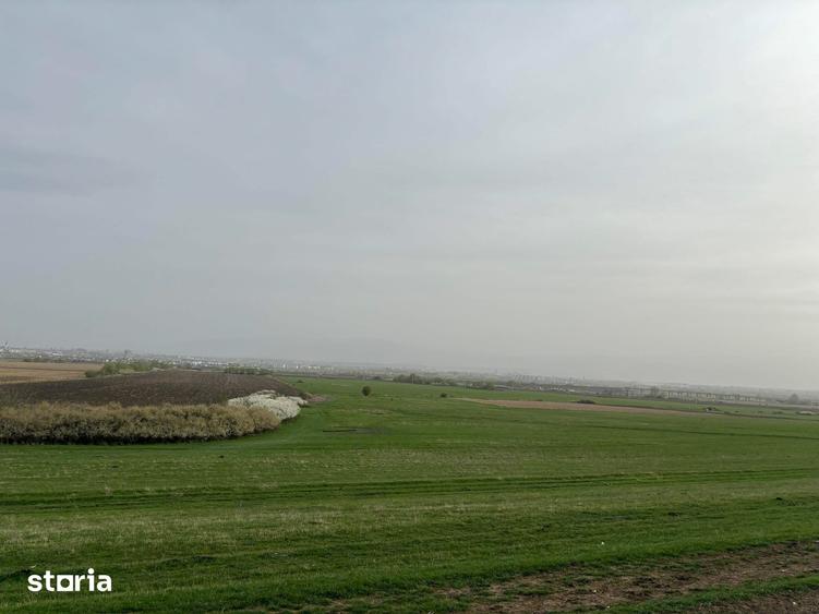 Teren de vanzare, zona Drotleff, 689 mp - 2