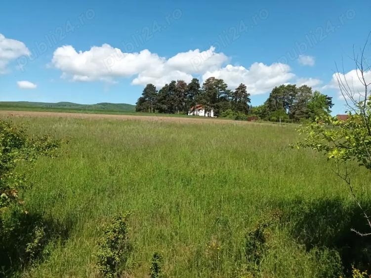 Teren de 2200 mp, în Valea Crișului