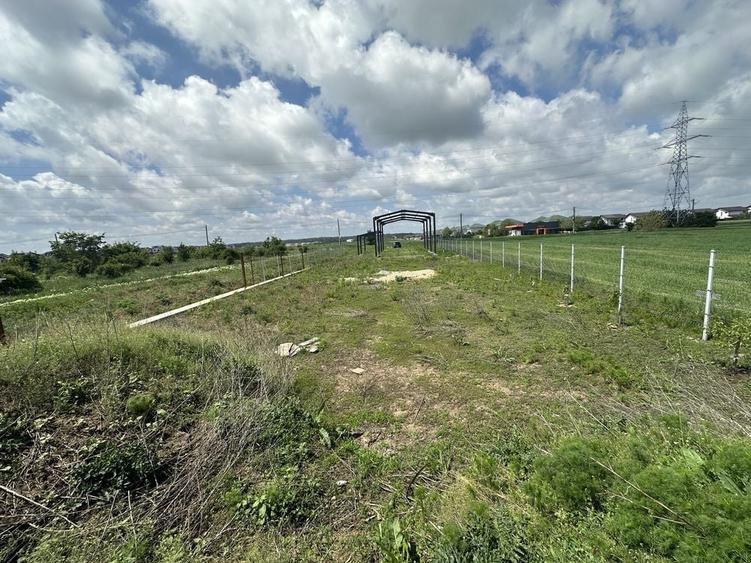 Teren de 2000 mp, în Săbăreni
