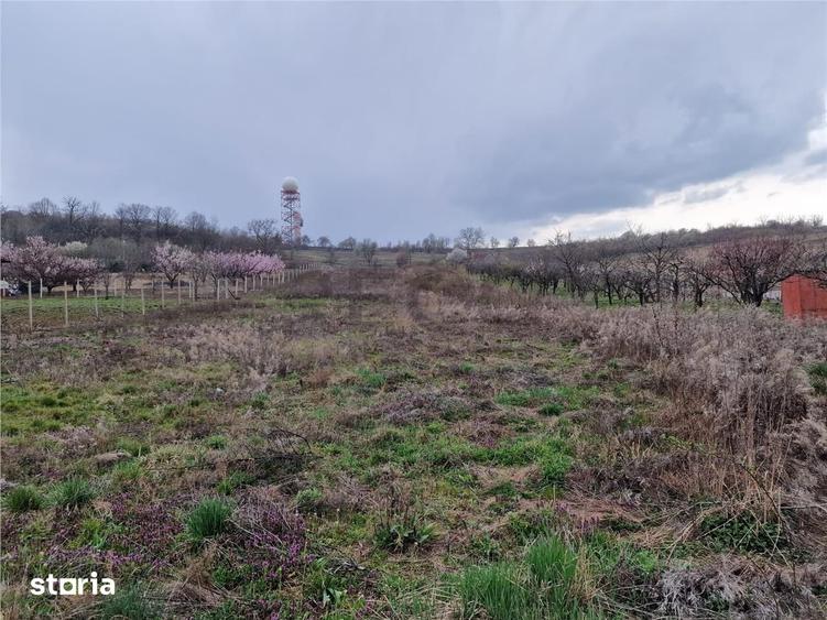 RECO Teren intravilan in Oncea, str. Prunilor - 3