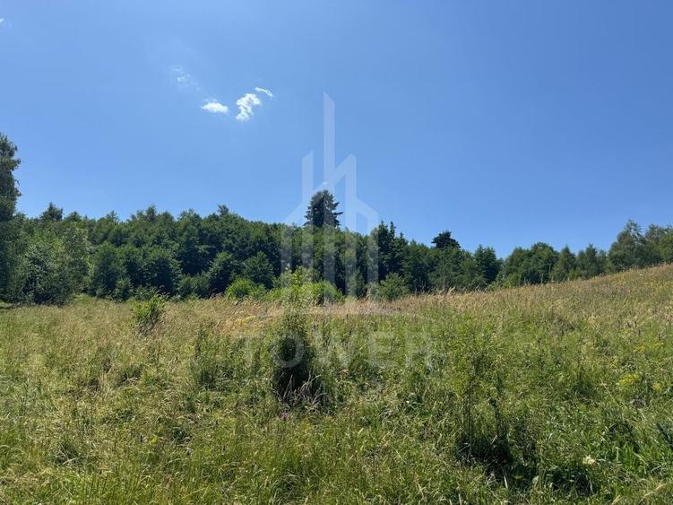 Teren Construcții intravilan de 4600 mp, în Cisnădioara
