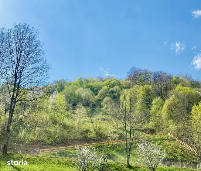 Teren de 4360 mp, în Valea Doftanei
