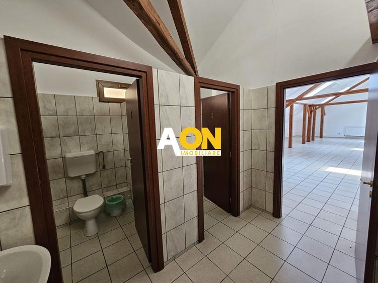 Birou, de 220 mp, în Central