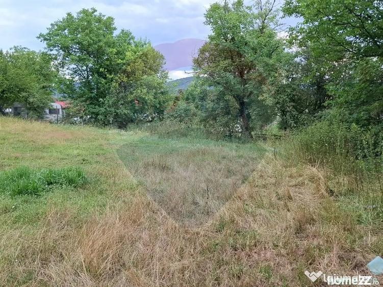 Teren de 990 mp, în Bârzava