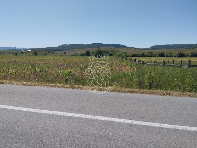Teren agricol extravilan de 1200 mp, în Dorolea