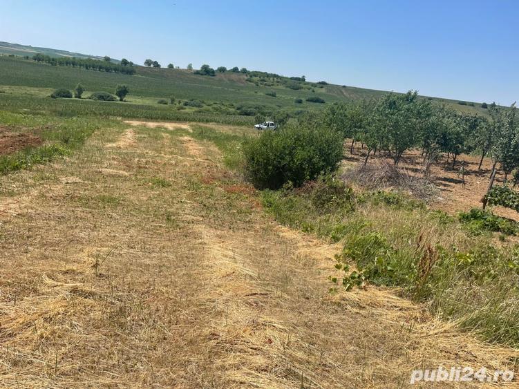 Teren de 1200 mp, în Paleu