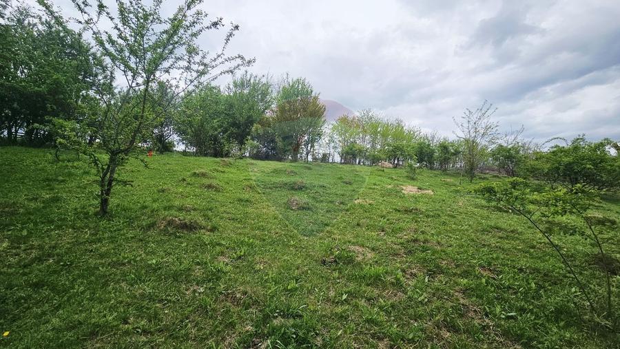 Teren Construcții intravilan de 5350 mp, în Dobreni
