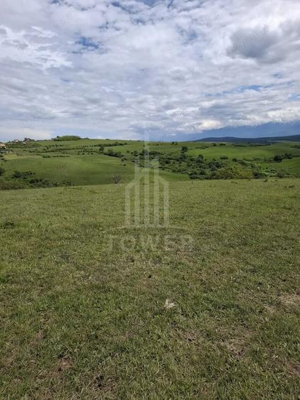 Teren de 11500 mp, în Daia
