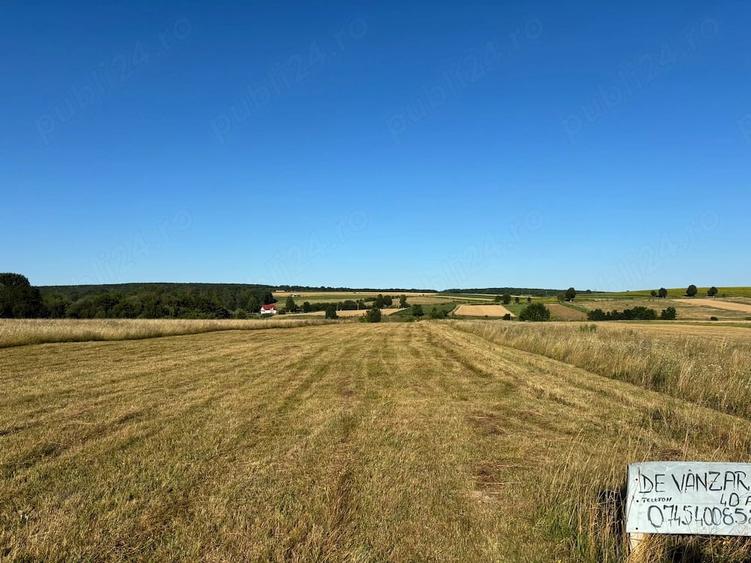 Teren de 4000 mp, în Dragomirna