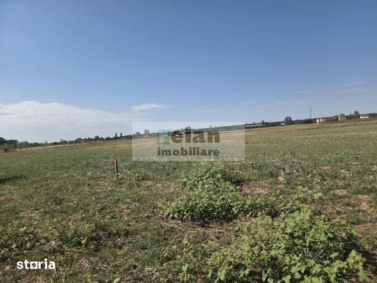 Teren de 6800 mp, în Ciolpani