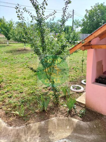Casa noua si 7000 mp teren - 7