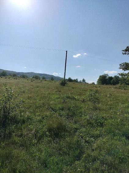 Teren de 5000 mp, în Vicovu de Jos