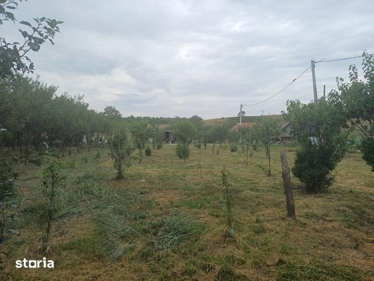 Teren de 1200 mp, în Borșa