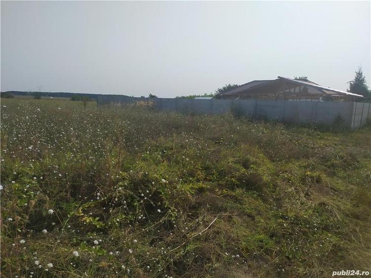 De vanzare teren intravilan Frumu?ani jude?ul Calara?i - 6