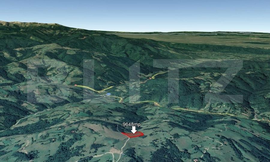 Teren Construcții intravilan de 9648 mp, în Est
