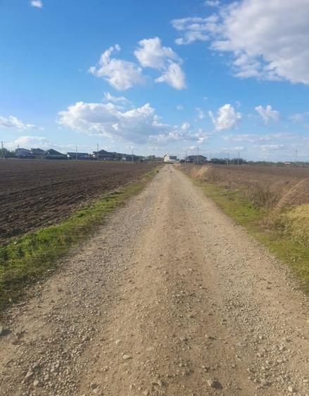 Teren Construcții intravilan de 16608 mp, în 1 Decembrie