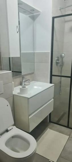 Apartament cu 2 camere semidecomandat în Podgoria