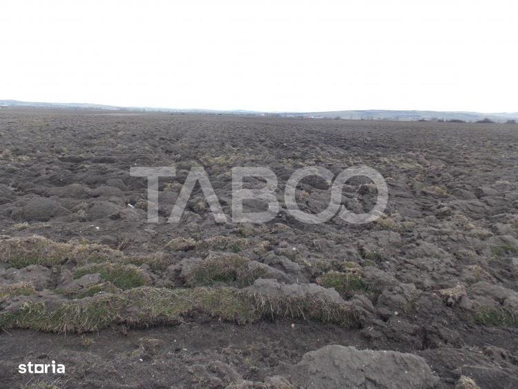 Teren intravilan de vanzare 10.000 mp in zona Industriala Vest Sibiu - 5