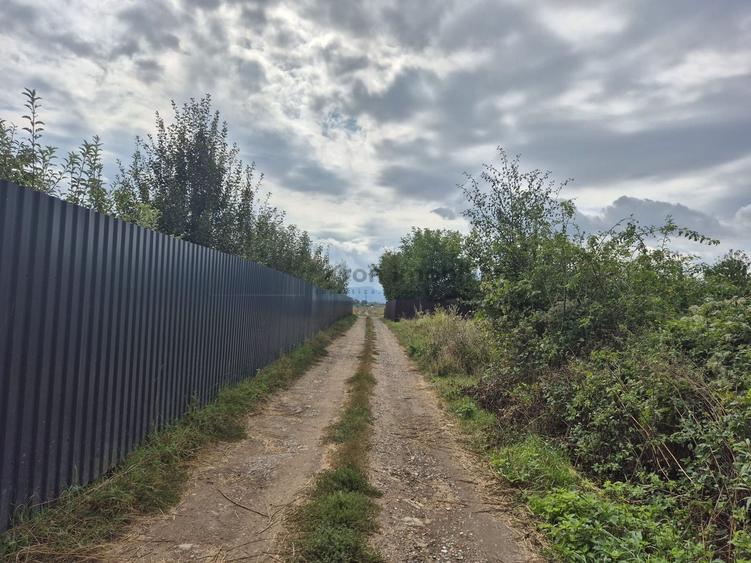 Teren Construcții intravilan de 650 mp, în Sânpetru