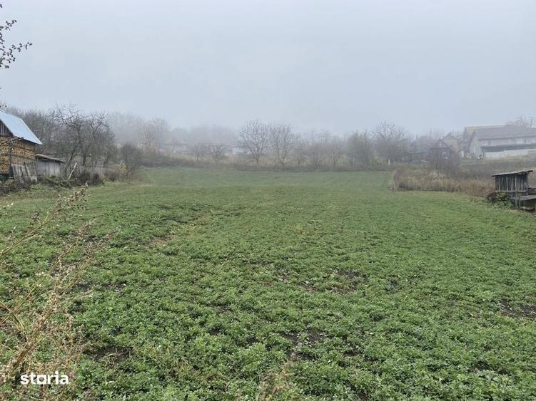 Teren de 2500 mp, în Căianu