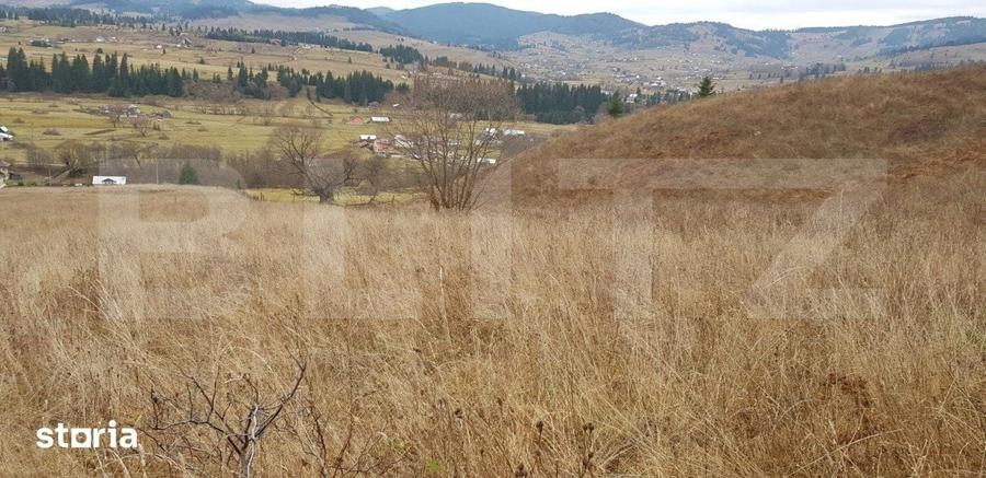 Teren ?aru Dornei 5 hectare, extravilan - 2