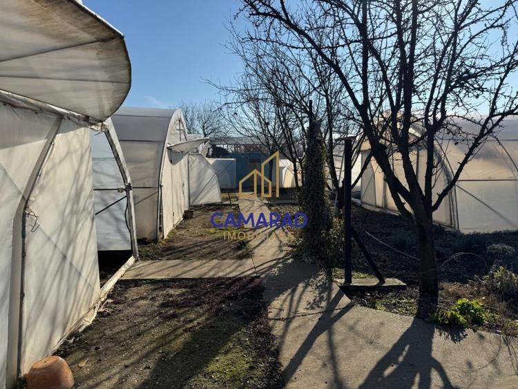 Teren Construcții intravilan de 2750 mp, în Dârvari