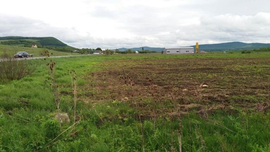 Teren agricol extravilan de 19000 mp, în Sud