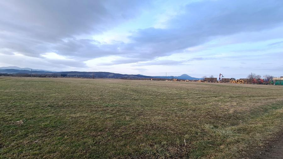 Teren extravilan de 5000 mp, în Pănicel