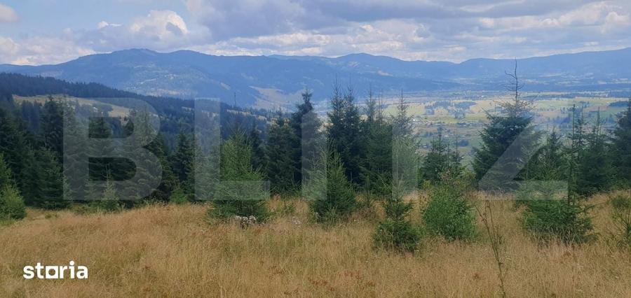 Teren extravilan de vanazre, 42.152 mp, zona Saru Dornei - 8