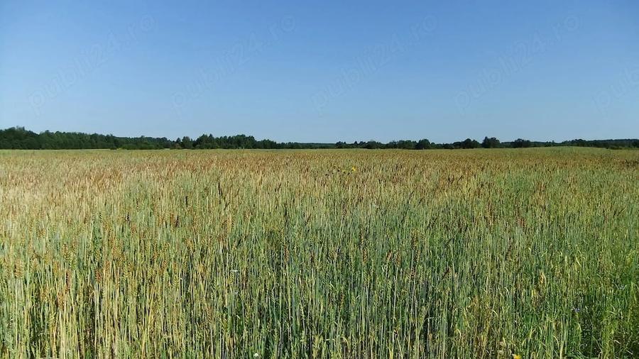 Teren de 28800 mp, în Hitiaș