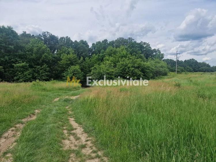 Teren de 12421 mp, în Big-Bascov
