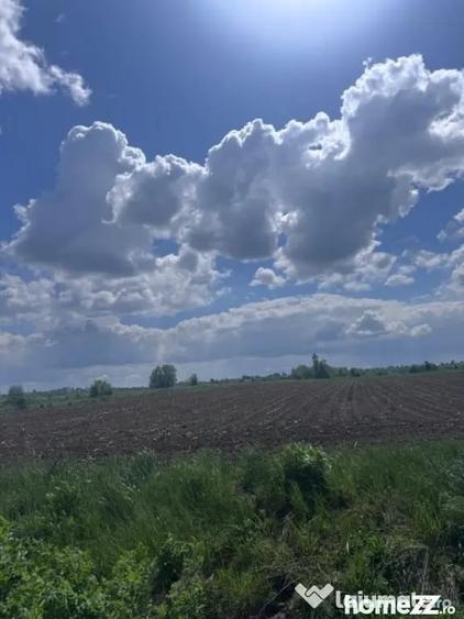 Teren de 7800 mp, în Rădăuți