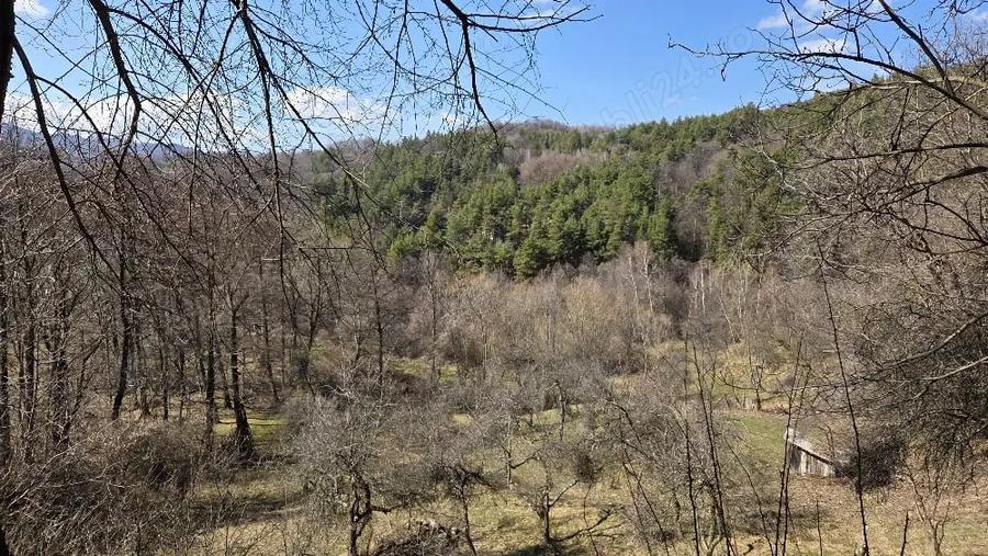 Teren de 4001 mp, în Căpățânenii Ungureni