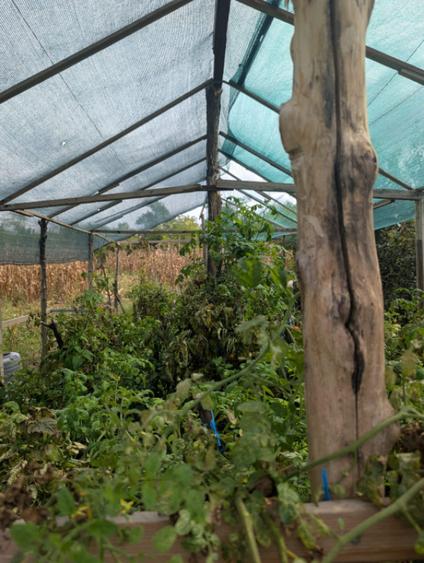 Casă cu 5 camere cu Teren 5165 Mp în Beștepe
