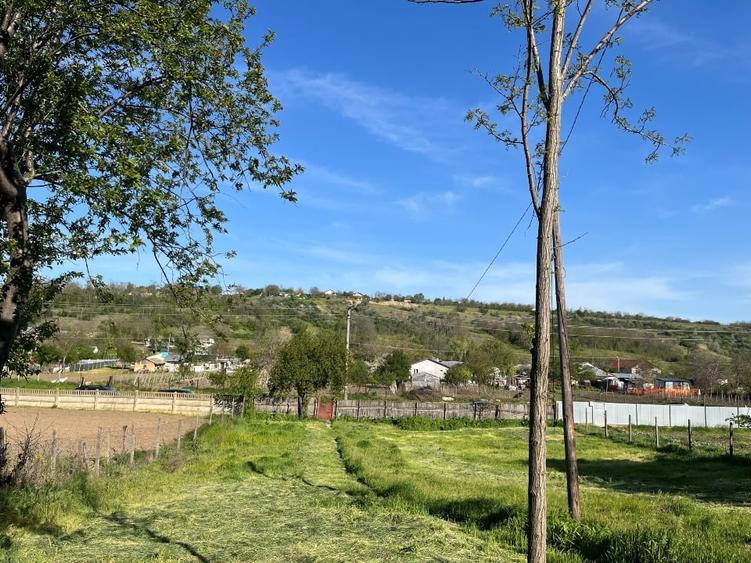 Teren Construcții intravilan de 3037 mp, în Rediu