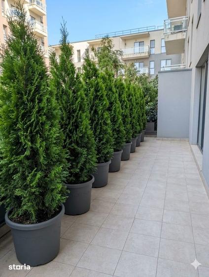 Apartament cu 3 camere, mobilat în Tei