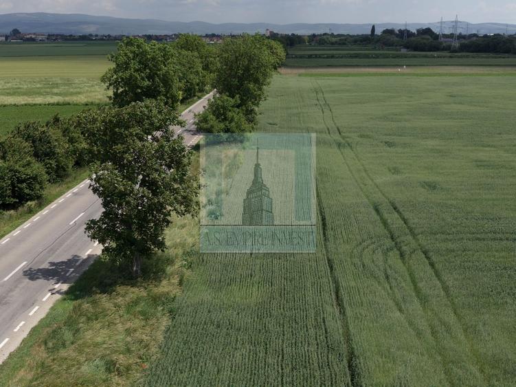 Teren Construcții intravilan de 50000 mp, în Hălchiu