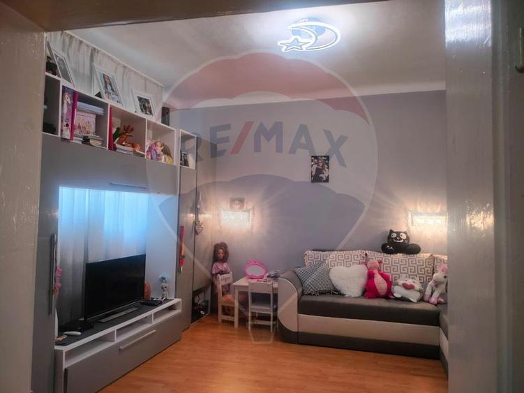Casa la tara in satul Retis, comuna Bradeni, aproape de ... - 5