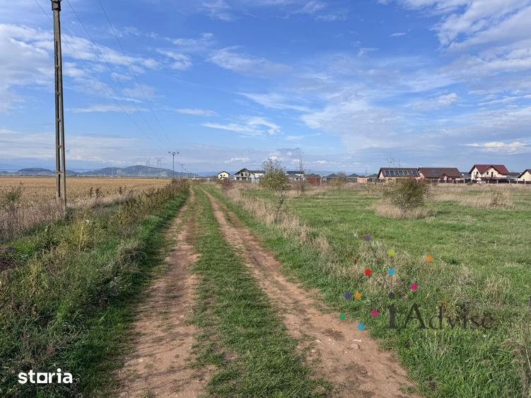 Teren de 52000 mp, în Central