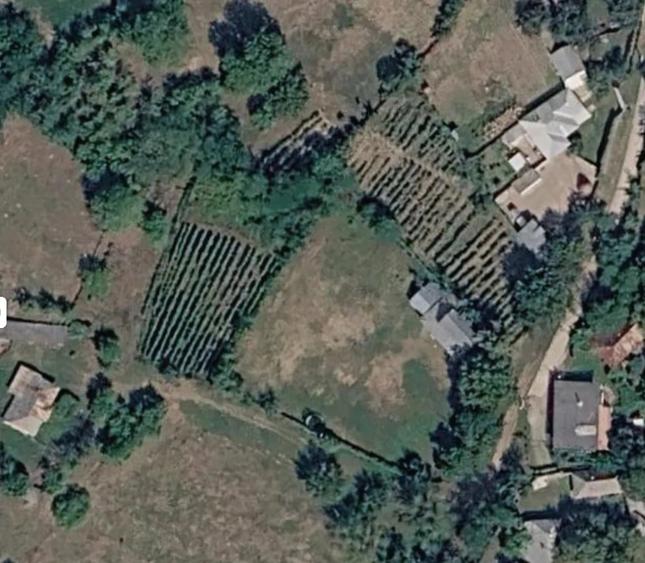Casă cu 3 camere cu Teren 1000 Mp în Socea