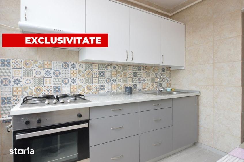 INCHIRIERE APARTAMENT 2 CAMERE PIATA MUNCII-VICTOR BABES - 16
