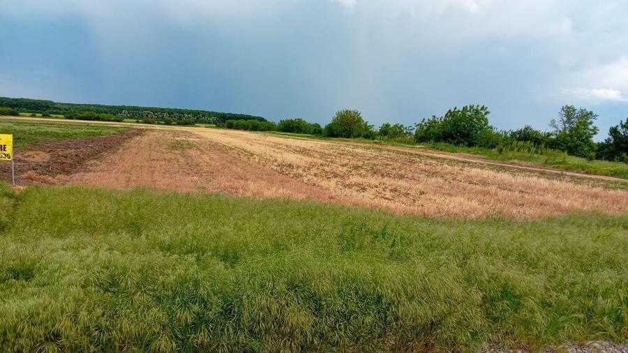 Teren Construcții intravilan de 3487 mp, în Petrăchioaia