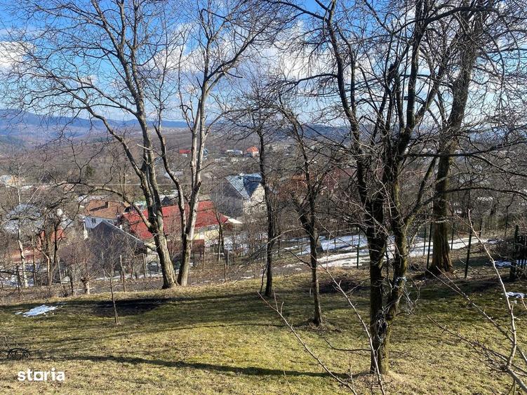 Teren de 2423 mp, în Talea