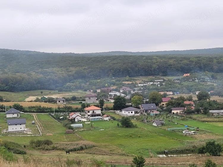 Teren de 4000 mp, în Cătămărești