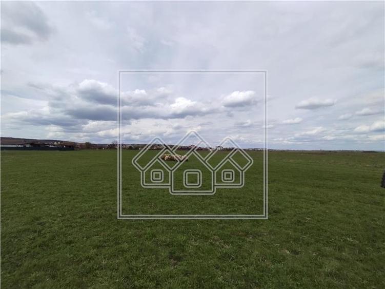 Teren Construcții extravilan de 8600 mp, în Șura Mică