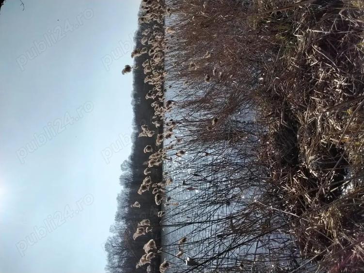 Teren de 1000 mp, în Piscu