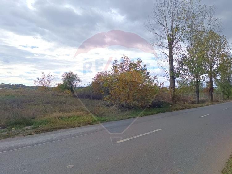 Teren Construcții intravilan de 2056 mp, în Ciolpani
